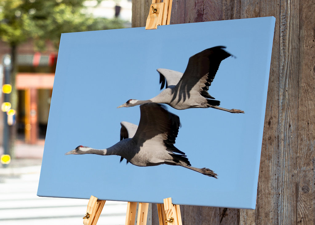 Felszállásra kész