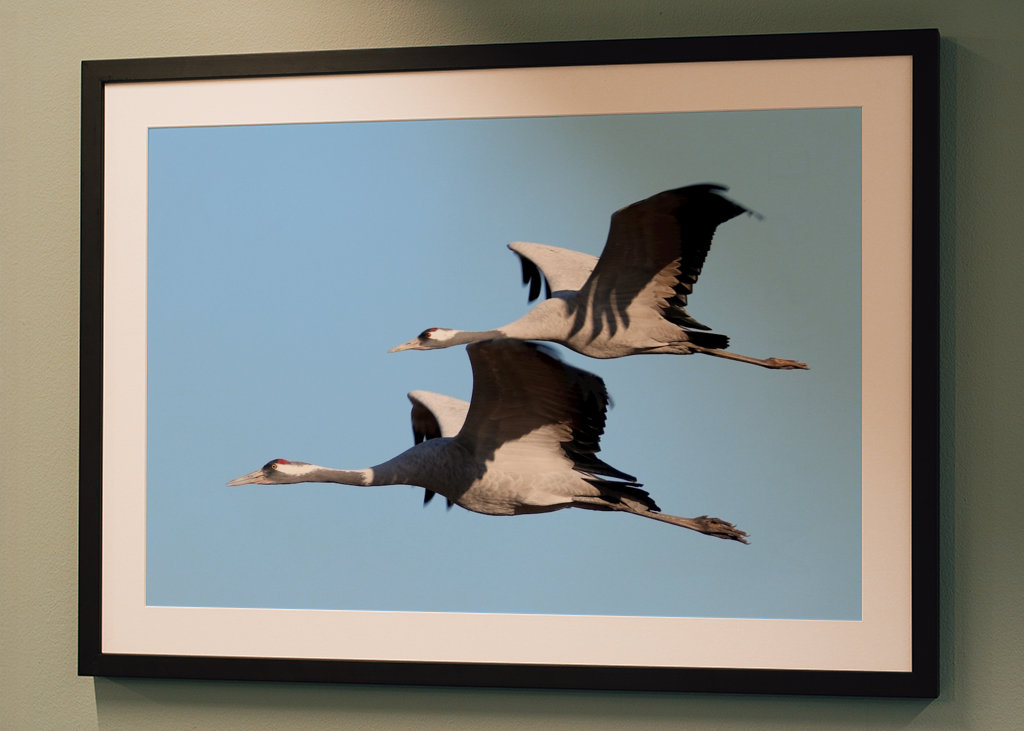 Felszállásra kész