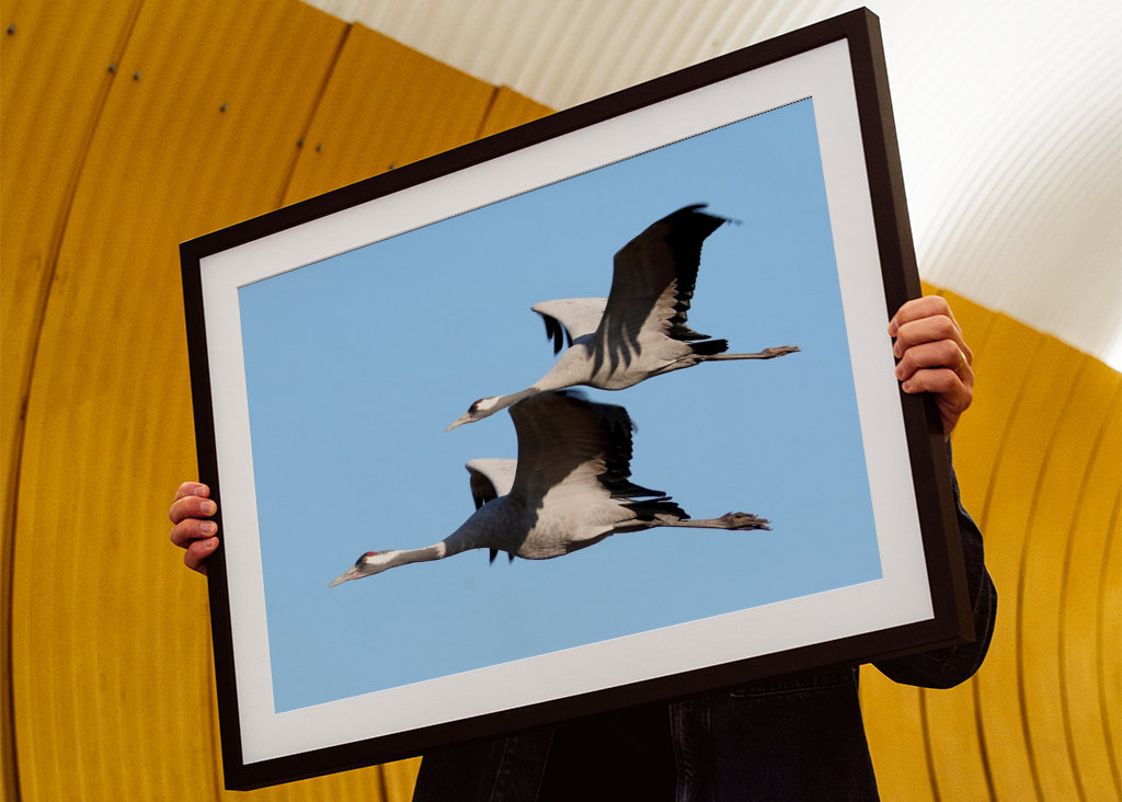 Felszállásra kész