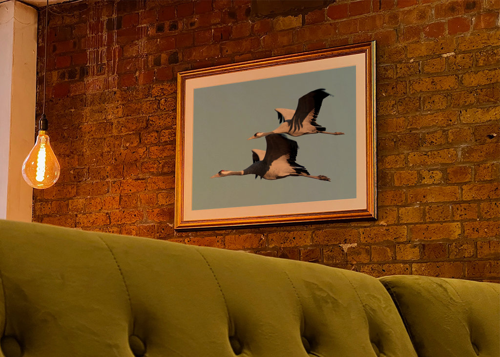 Felszállásra kész