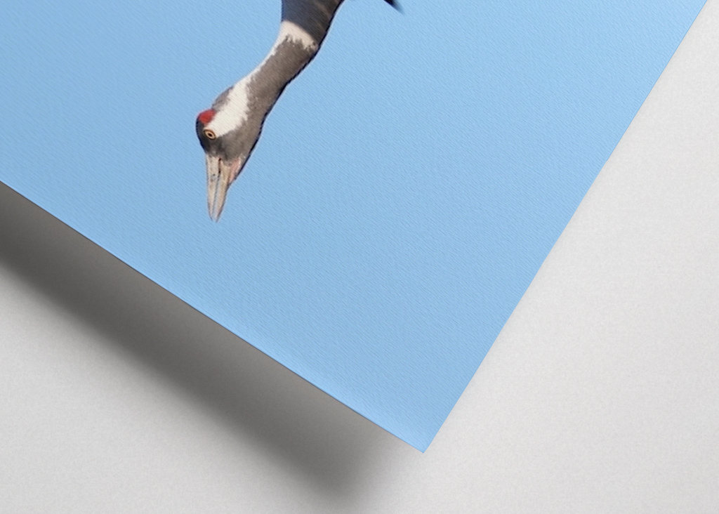 Felszállásra kész