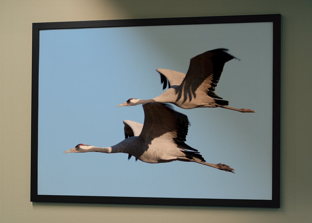 Felszállásra kész