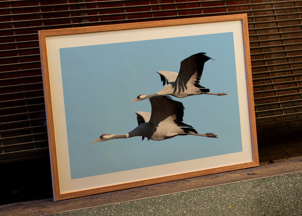 Felszállásra kész