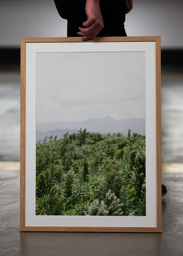 Das Haus mitten im Dschungel