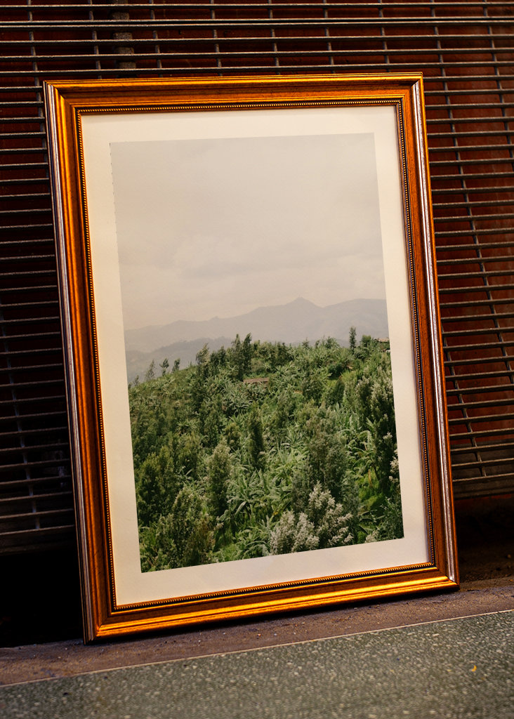 Das Haus mitten im Dschungel