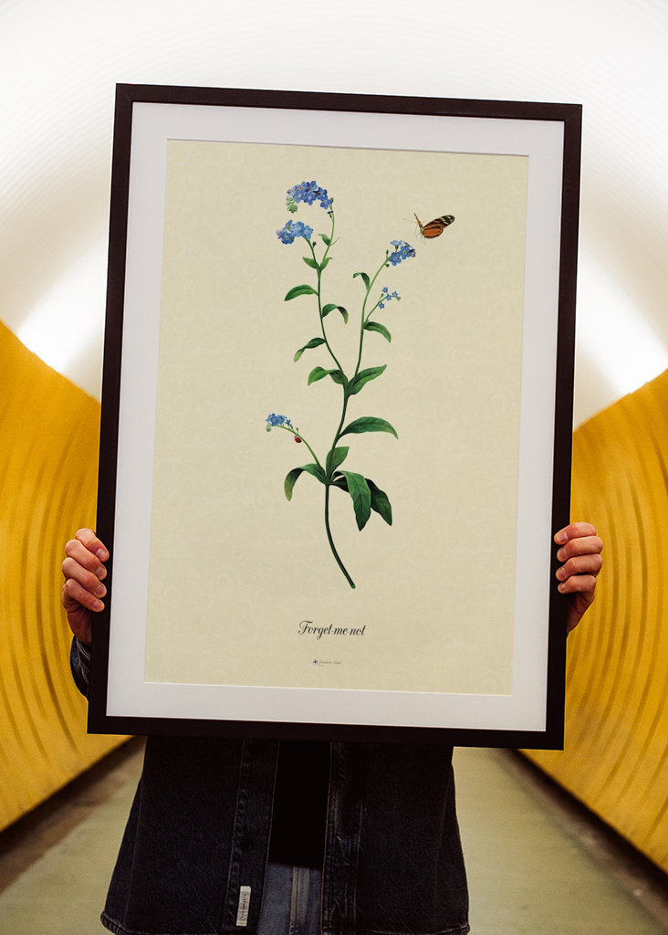 Beautiful Forget-me-not Poster