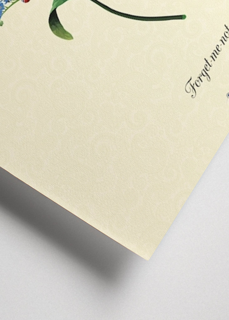 Beautiful Forget-me-not Poster