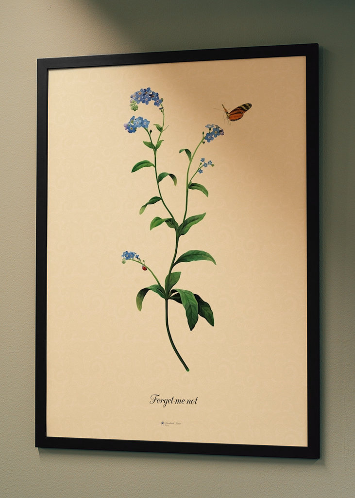 Beautiful Forget-me-not Poster