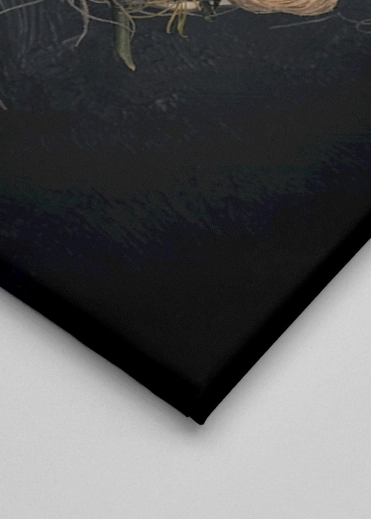 Dried flower arrangement