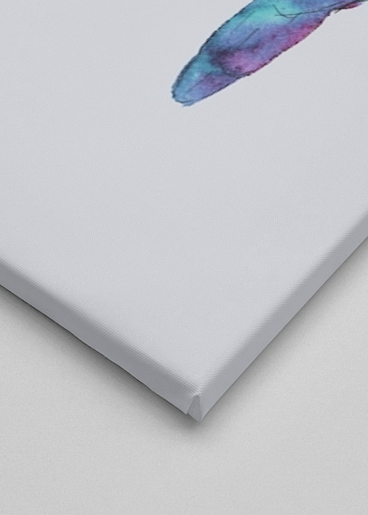  Three birds on a wire	