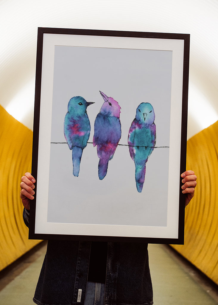  Three birds on a wire	