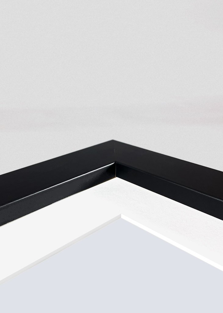  Three birds on a wire	