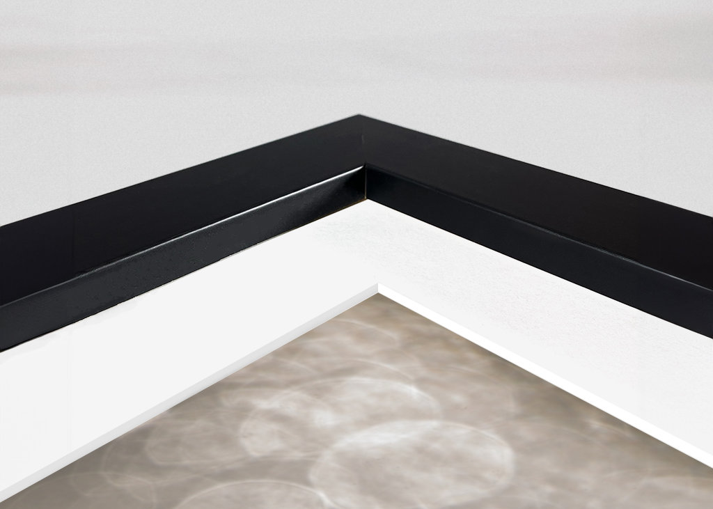 Silberseeschwalbe Sonnenglitzer