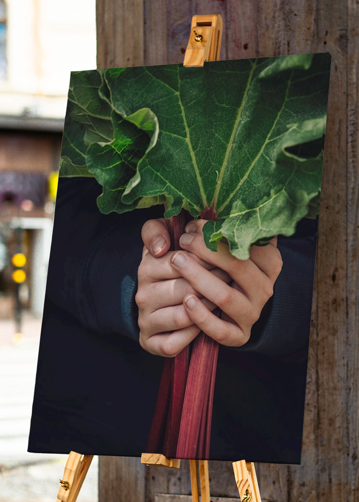 Rebarbora a dětské ruce