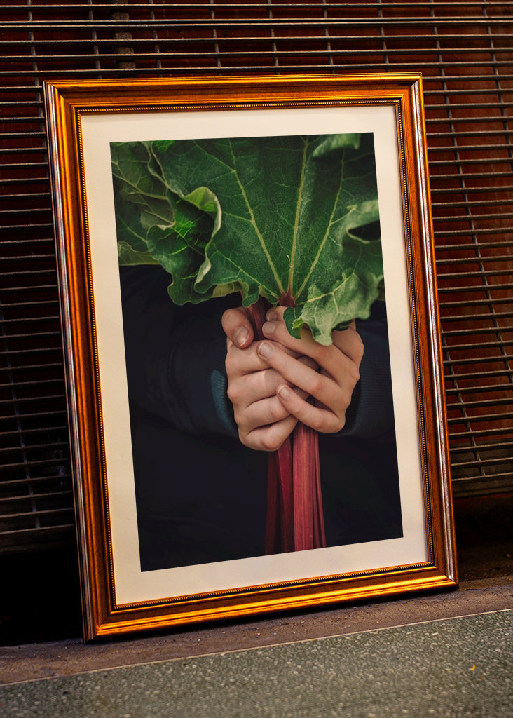 Rebarbora a dětské ruce