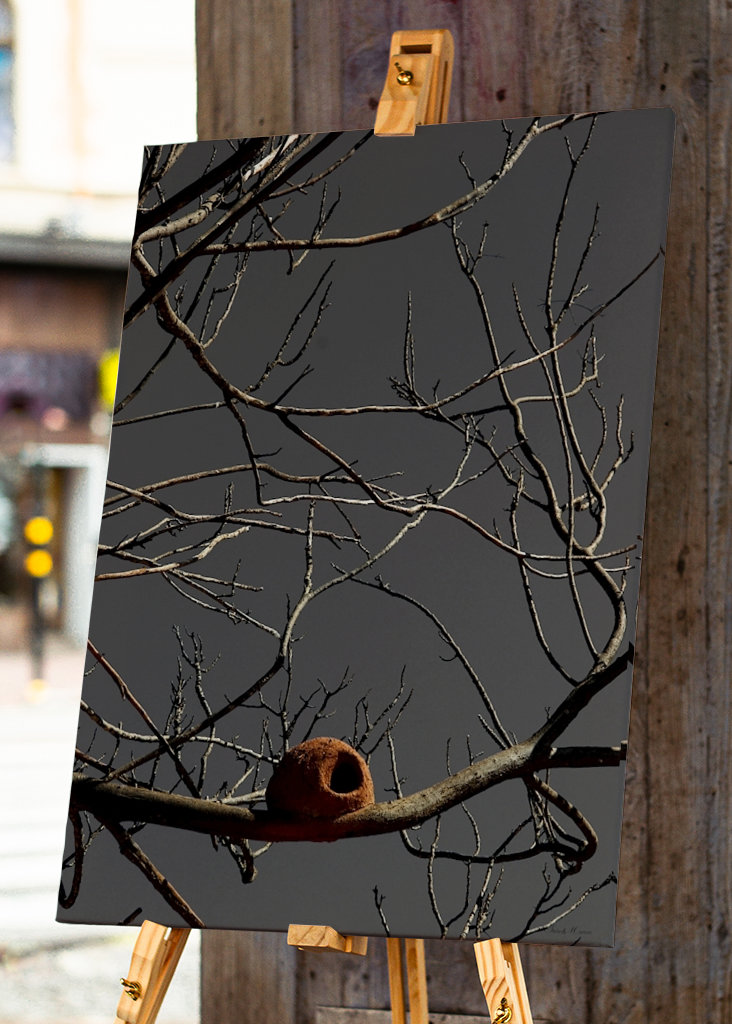 SM - Casa João de Barro 02