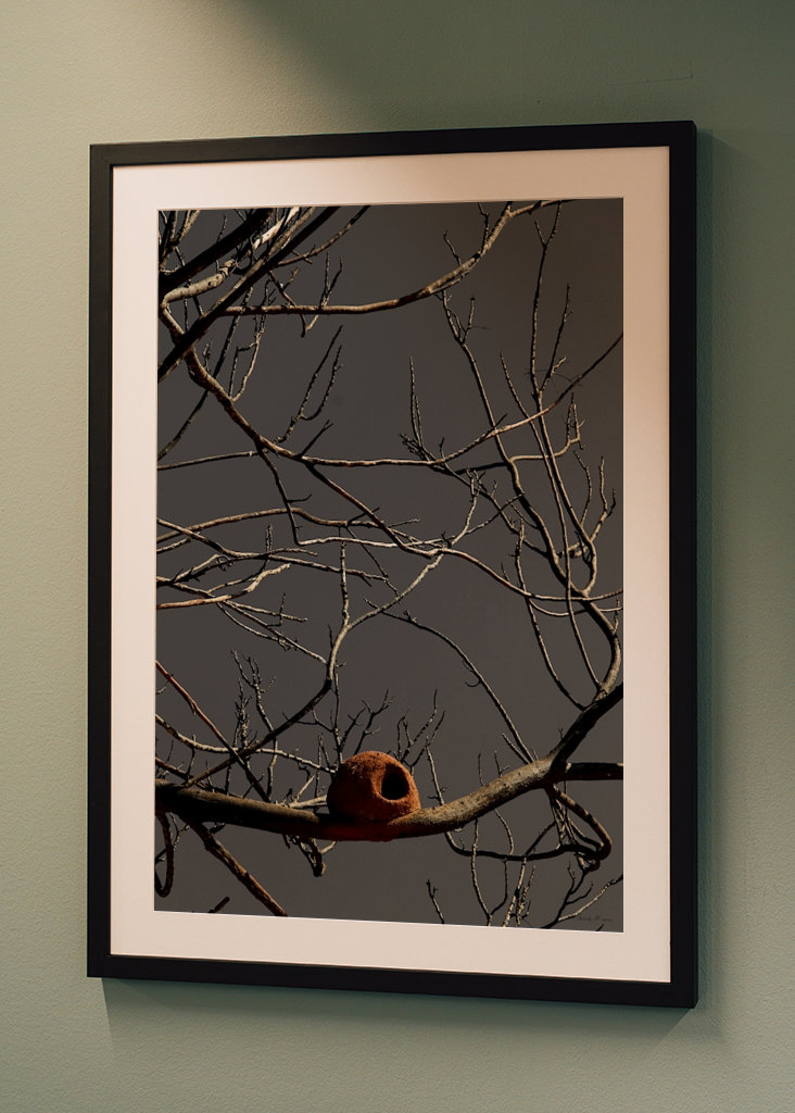 SM - Casa João de Barro 02