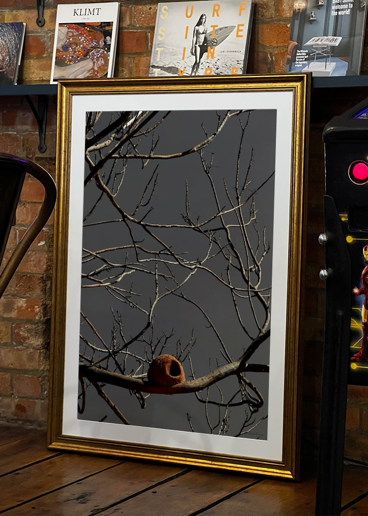 SM - Casa João de Barro 02