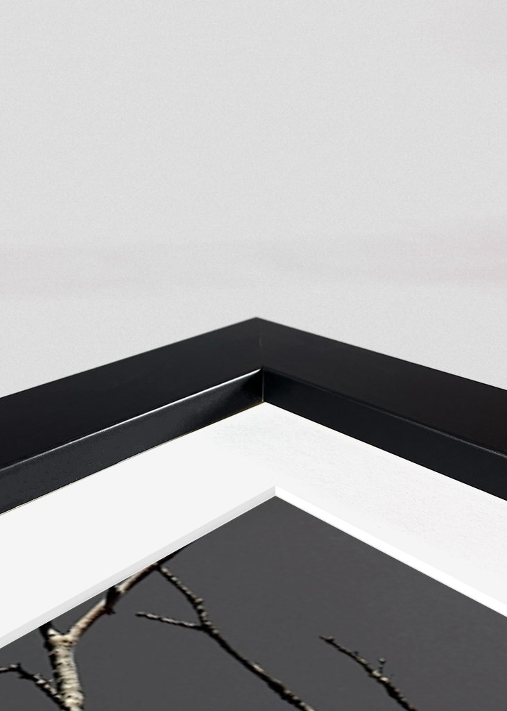 SM - Casa João de Barro 02