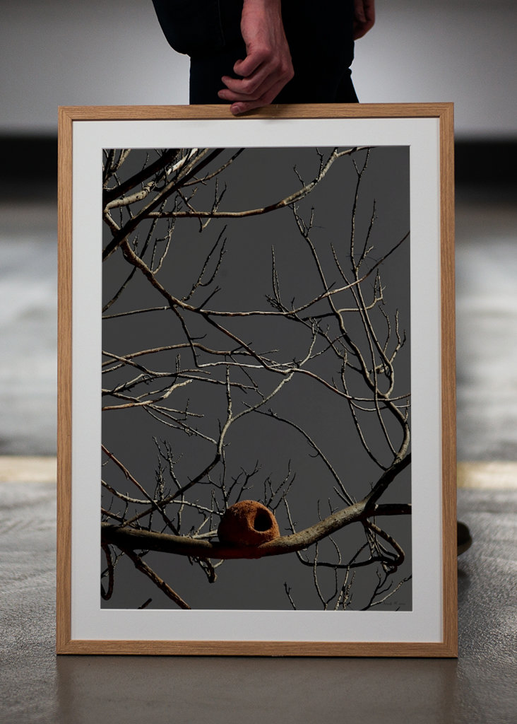 SM - Casa João de Barro 02