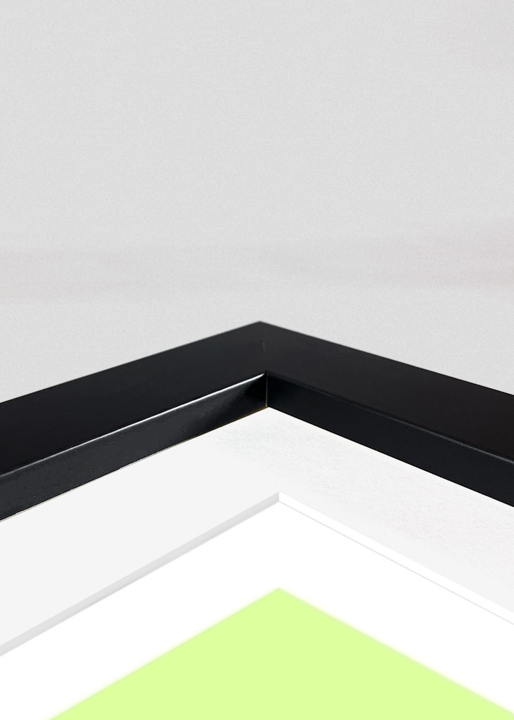 Rainbow flower with flowers