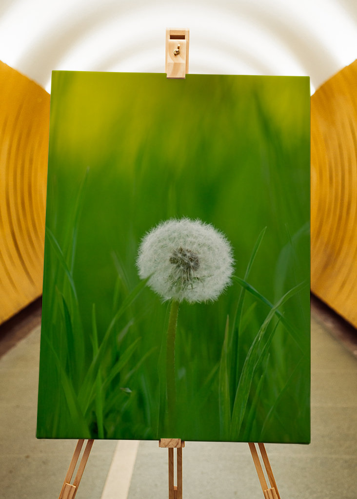 Amikor a szél feltámad