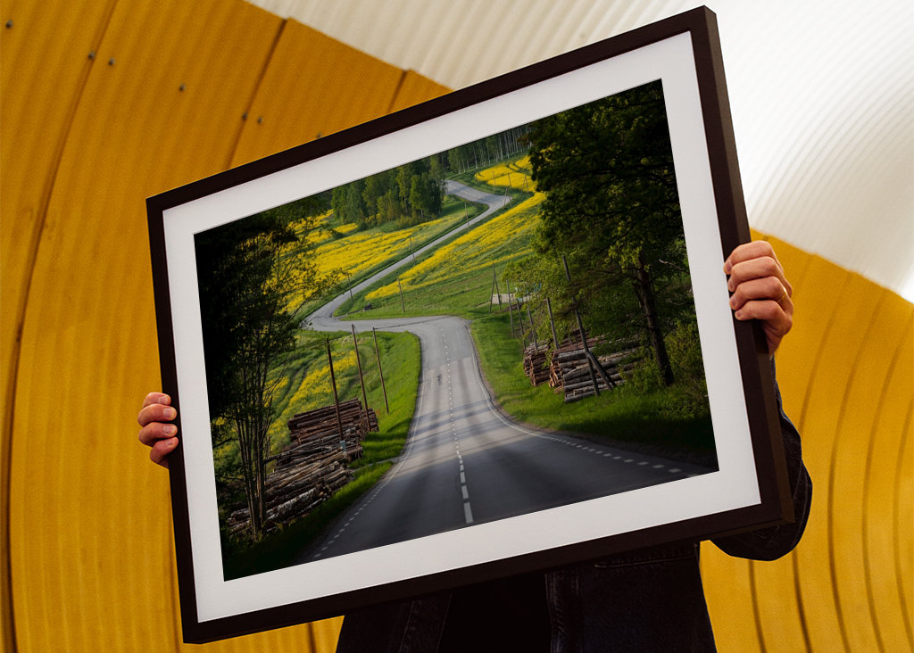 La strada verso l'estate