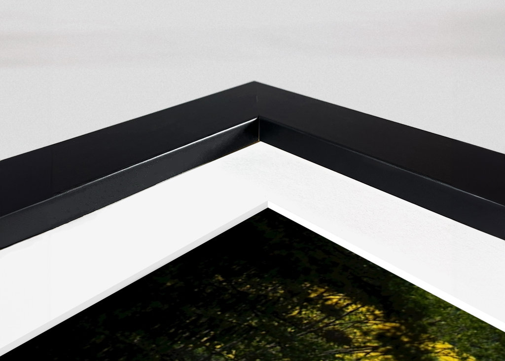 La strada verso l'estate