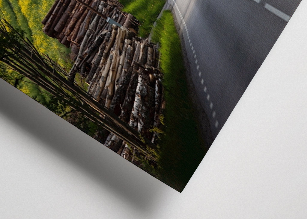 La strada verso l'estate