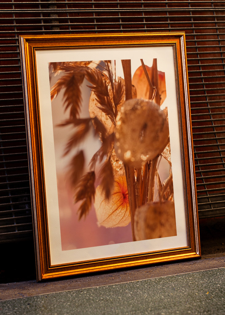 Physalis - Blomma - Café - Dekoration