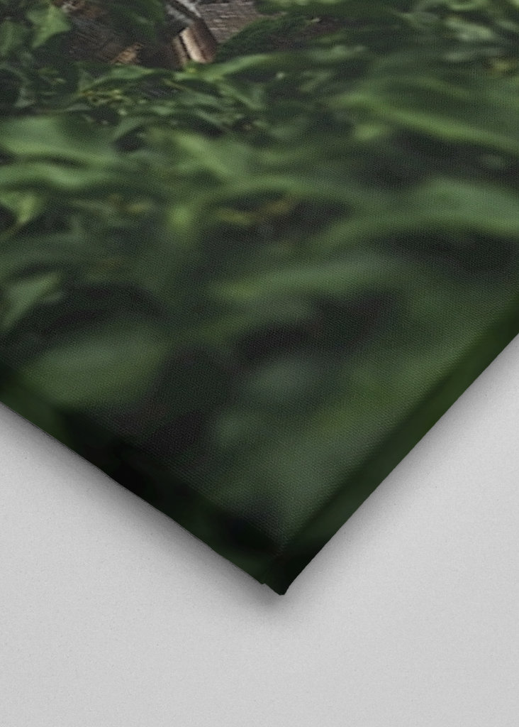 Hallstatt Oostenrijk 