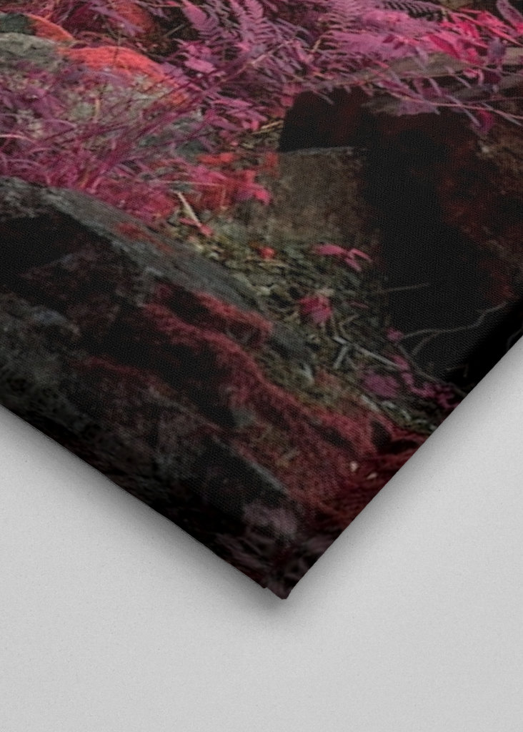 Außerirdische Landschaft