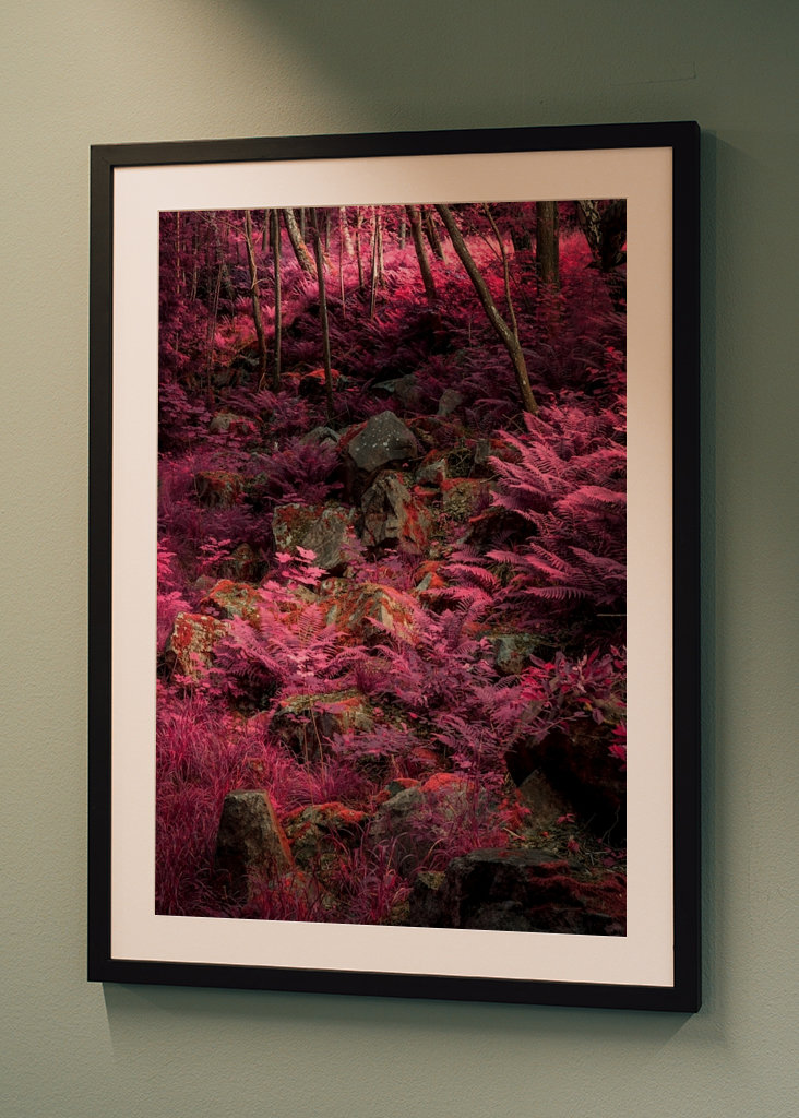 Außerirdische Landschaft