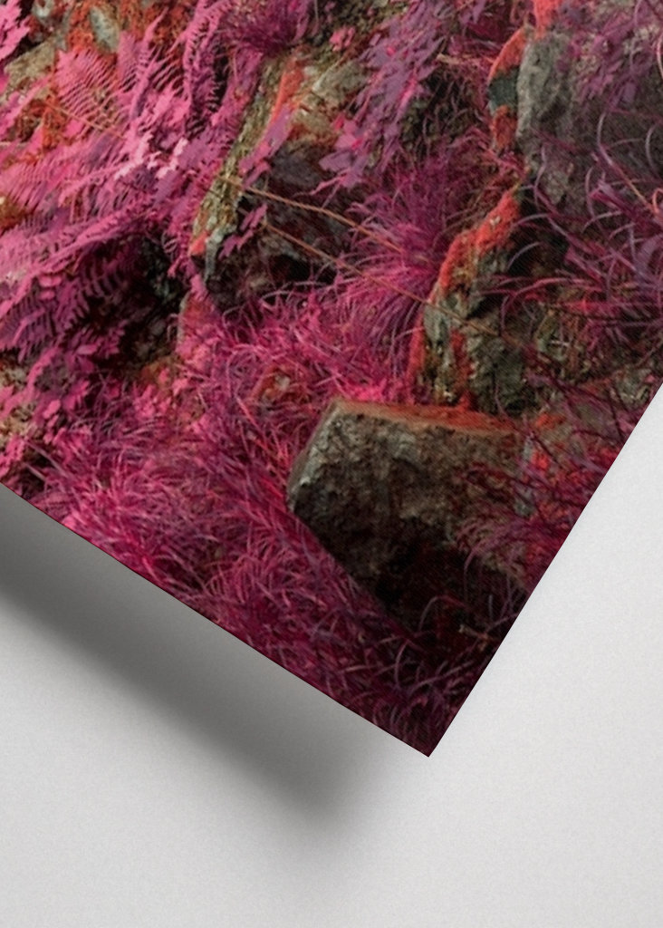 Außerirdische Landschaft