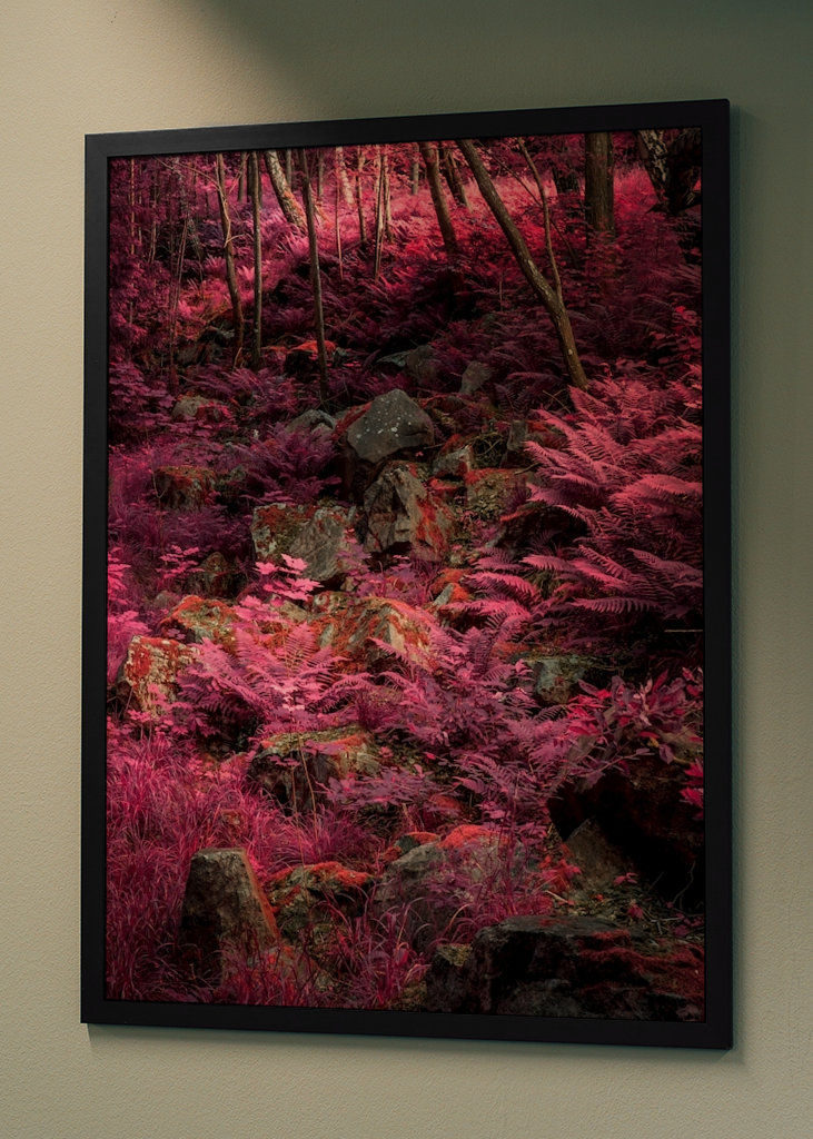 Außerirdische Landschaft