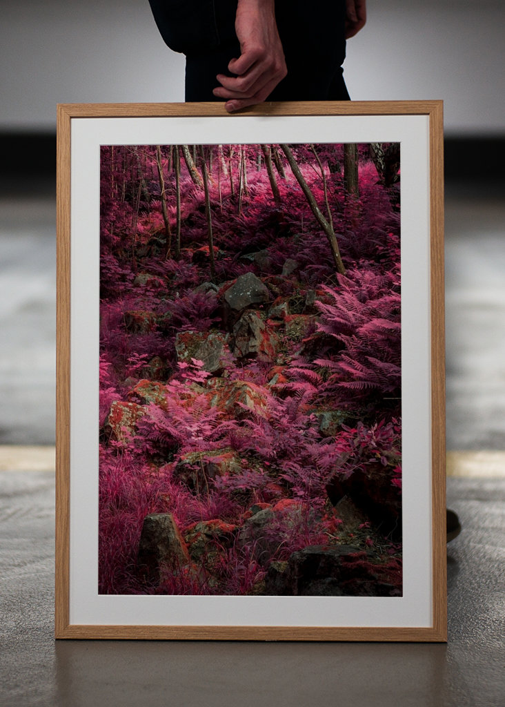 Außerirdische Landschaft