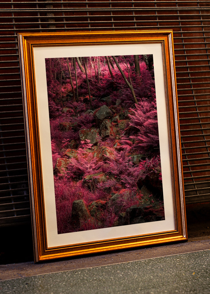 Außerirdische Landschaft