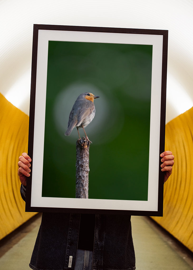 Die Rotkehlchenblase