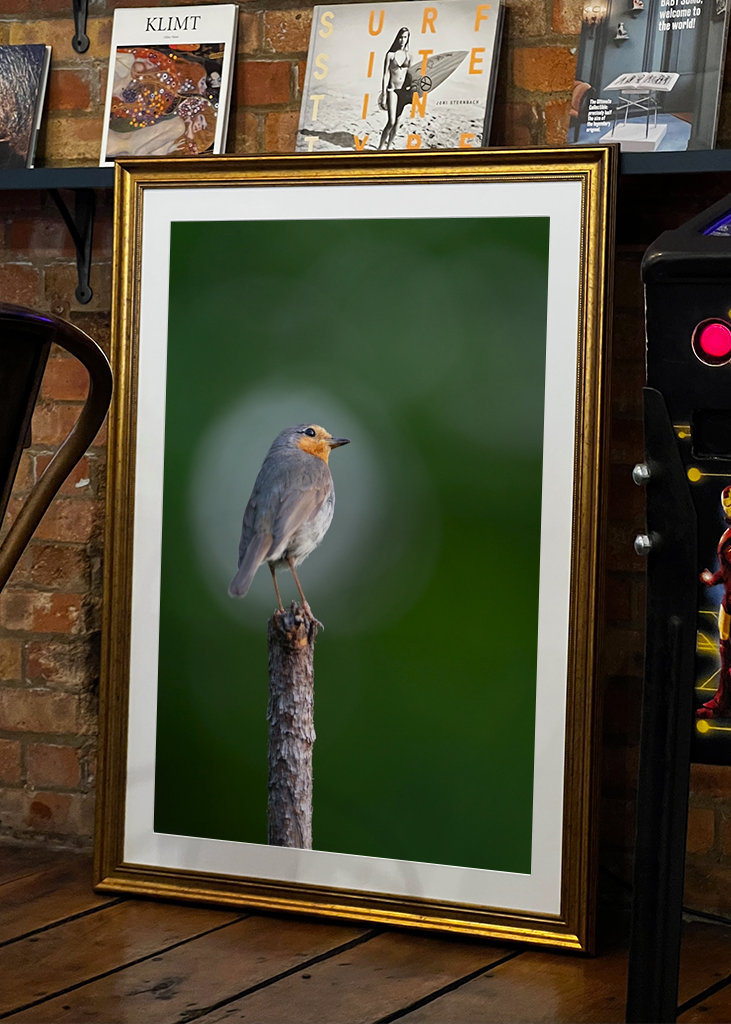 Die Rotkehlchenblase