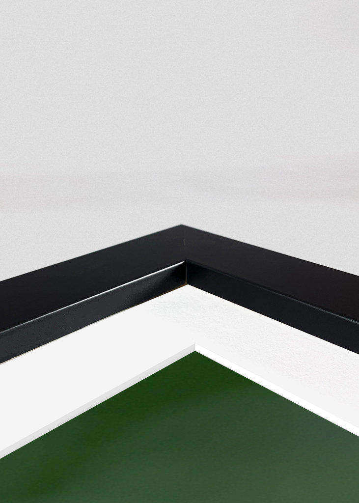 Die Rotkehlchenblase