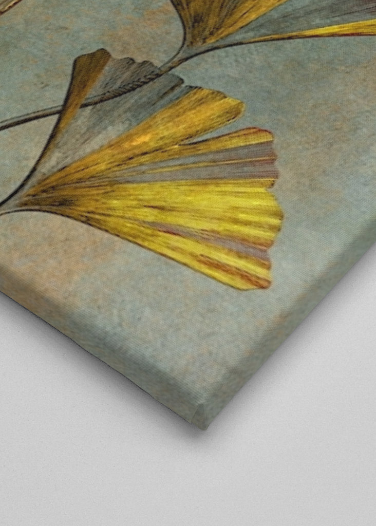 Ginkgo biloba umění