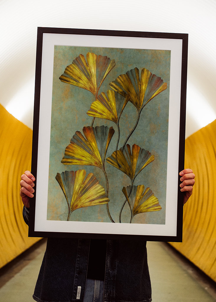 Ginkgo biloba umění