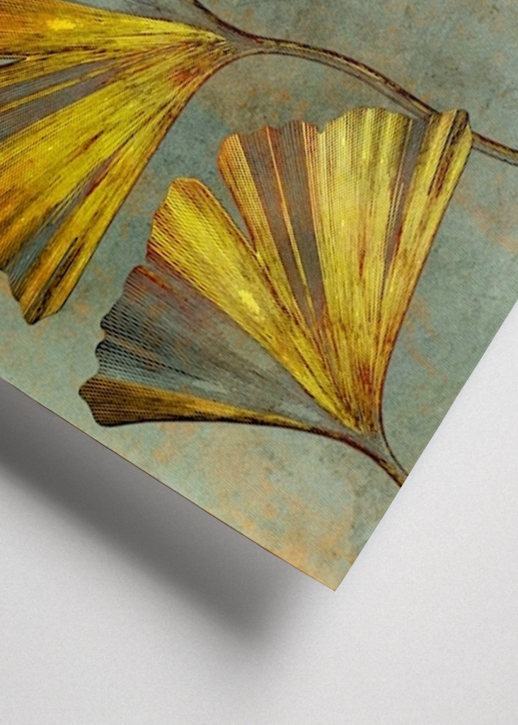 Ginkgo biloba umění