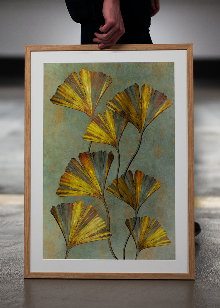 Ginkgo biloba umění