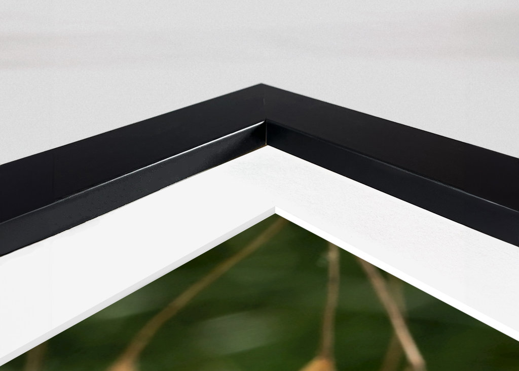 Ještěrka na slunci