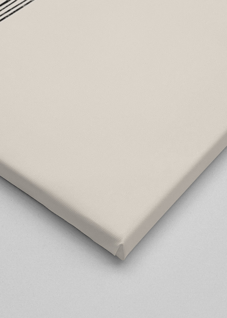 Cactus black and white