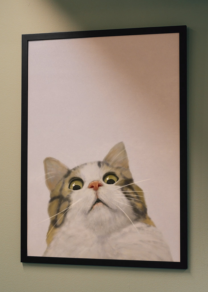 Gatto spaventato - Meme