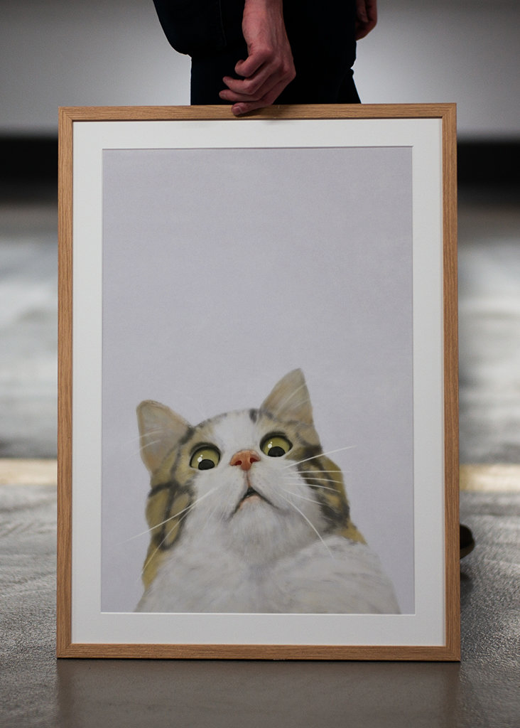 Gatto spaventato - Meme