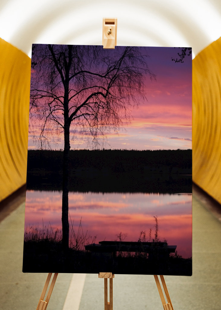 Purple morning by the lakeside