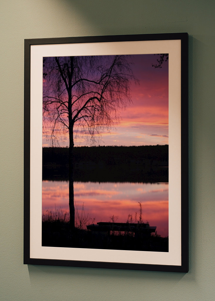 Purple morning by the lakeside